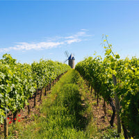 2018 Château Auguste Rouge