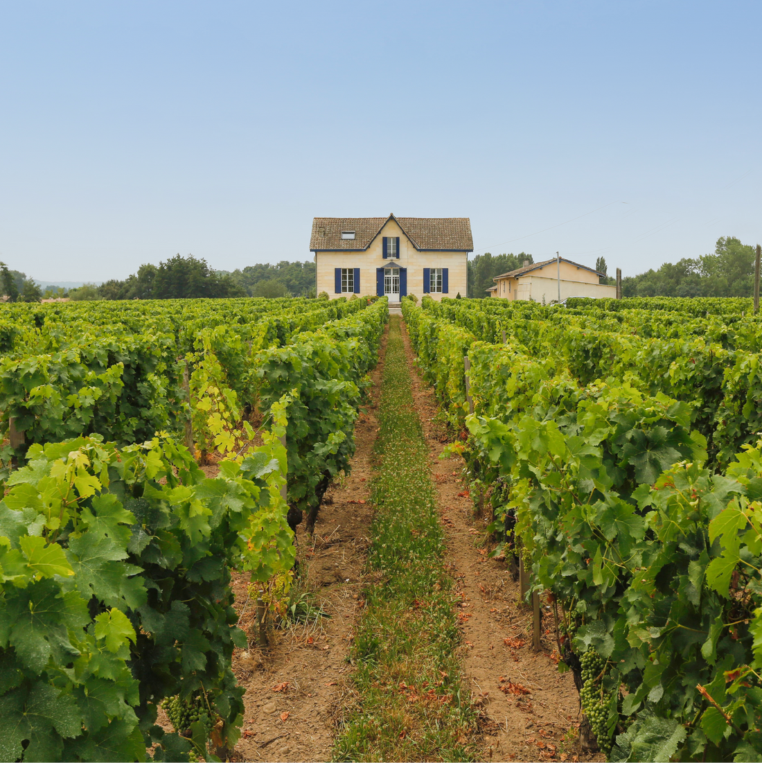 2015 Château Du Parc - St Emilion Grand Cru